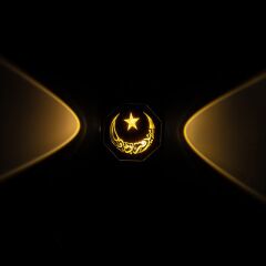 PowerMaster PM-24445 3000K Ayyıldız Hilal Dekoratif LED Duvar Aplik